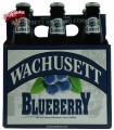 Wachusett Blueberry Ale